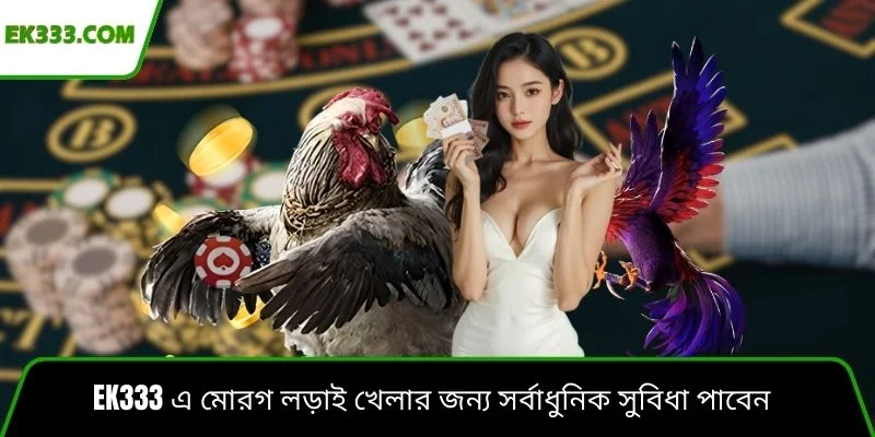 Ek333 এ মোরগ লড়াই খেলার জন্য সর্বাধুনিক সুবিধা পাবেন