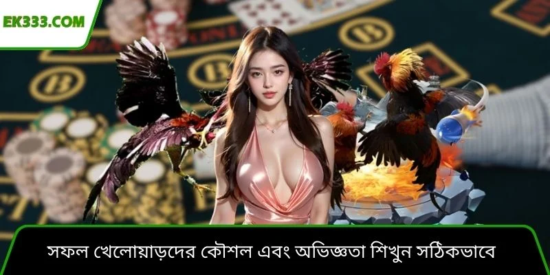 সফল খেলোয়াড়দের কৌশল এবং অভিজ্ঞতা শিখুন সঠিকভাবে